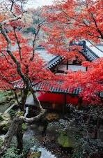 花机水果机-花机水果机，创新科技下的生活便利